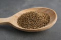 Spoon of celery seeds on grey table, closeup Royalty Free Stock Photo