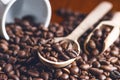 Spoon of coffee beans. Background. Energy. Raw coffee beans. Grained product. Hot drink. Close up. Harvesting. Natural Royalty Free Stock Photo