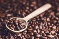 Spoon of coffee beans. Background. Energy. Raw coffee beans. Grained product. Hot drink. Close up. Harvesting. Natural Royalty Free Stock Photo