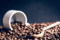 Spoon of coffee beans. Background. Energy. Raw coffee beans. Grained product. Hot drink. Close up. Harvesting. Natural Royalty Free Stock Photo