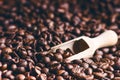 Spoon of coffee beans. Background. Energy. Raw coffee beans. Grained product. Hot drink. Close up. Harvesting. Natural Royalty Free Stock Photo