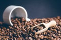 Spoon of coffee beans. Background. Energy. Raw coffee beans. Grained product. Hot drink. Close up. Harvesting. Natural Royalty Free Stock Photo