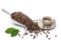 Spoon Coffee scoop and coffee beans roasted with hot coffee cup on a white background with copy space for your text. Coffee Royalty Free Stock Photo