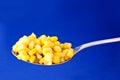 Spoon with corn Royalty Free Stock Photo