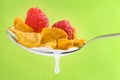 Spoon with corn flakes and raspberry Royalty Free Stock Photo