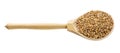 Spoon with crushed Emmer farro groats isolated