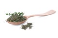 Spoon of dried thyme and fresh herb isolated on white Royalty Free Stock Photo