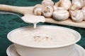 Spoon dripping cream of mushroom soup Royalty Free Stock Photo