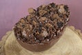 Spoon Easter egg with Brazilian truffle filling and brownie topping_1