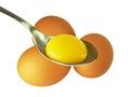 Spoon egg yolk Royalty Free Stock Photo