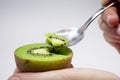 Spoon Feeding a Kiwi Royalty Free Stock Photo