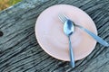 Spoon and fork on a pink plate Royalty Free Stock Photo
