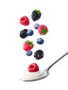 Spoon of fresh greek yogurt and falling wild berries on white background Royalty Free Stock Photo