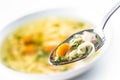 Spoon full of chicken or beef soup with noodles carrot and herbs Royalty Free Stock Photo