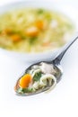 Spoon full of chicken or beef soup with noodles carrot and herbs Royalty Free Stock Photo