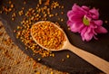 Spoon full of granule pollen- Bee Pollen Royalty Free Stock Photo