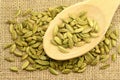 A spoon of green cardamom spice Royalty Free Stock Photo