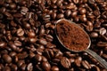 Spoon with ground coffee on roasted beans, closeup. Space for text Royalty Free Stock Photo