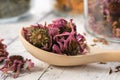 Spoon of healthy echinacea petals and buds for making tea. Glass jars of dried coneflowers and herbs on backgroundnd.