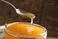 Spoon of honey close up Royalty Free Stock Photo