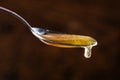 Spoon of honey close up Royalty Free Stock Photo