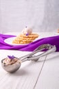 Spoon with ice cream. Belgian waffle on white plate decorated with purple flower. Royalty Free Stock Photo