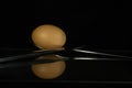 spoon and knife with a balanced egg Royalty Free Stock Photo