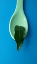 Spoon with leaf. Natural ingredients. Healthy food concept.