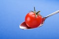 Spoon with little tomato Royalty Free Stock Photo