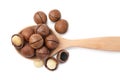 Spoon with macadamia nuts isolated on white, top view Royalty Free Stock Photo