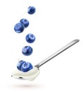 Spoon with natural yogurt and falling blueberries isolated on white background Royalty Free Stock Photo