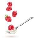 Spoon with natural yogurt and falling raspberries isolated on white Royalty Free Stock Photo