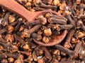 Spoon on pile of dried cloves closeup Royalty Free Stock Photo