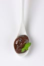 Spoon of plum jam Royalty Free Stock Photo
