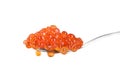 Spoon red caviar Royalty Free Stock Photo