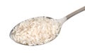 Spoon rice Royalty Free Stock Photo