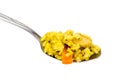 Spoon rice pilaf with meat Royalty Free Stock Photo