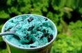 Spoon Scooping Mint Choc Chip Ice Cream with Blurry Green Foliage in Background Royalty Free Stock Photo