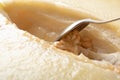 a spoon scrapes seeds from a juicy ripe melon close-up Royalty Free Stock Photo