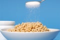 Spoon sprinkling sugar on a bowl of oat cereal on blue background Royalty Free Stock Photo