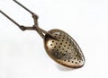 Spoon, strainer for brewing tea, , macro