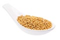 Spoon of yellow mustard seeds, path Royalty Free Stock Photo