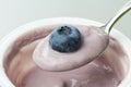 Spoon of yogurt with blueberries Royalty Free Stock Photo