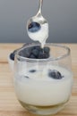 Spoon on yogurt with blueberries Royalty Free Stock Photo