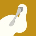 Spoonbill ibis head vector illustration flat style profile