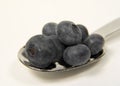 Spoonful of Blueberries Royalty Free Stock Photo