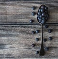 A spoonful of blueberries Royalty Free Stock Photo