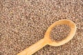 Spoonful of brown lentils over a lentil background