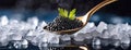 A spoonful of caviar on ice, with a delicate parsley garnish. Panorama with copy space. Royalty Free Stock Photo
