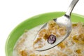 Spoonful of cereal with milk